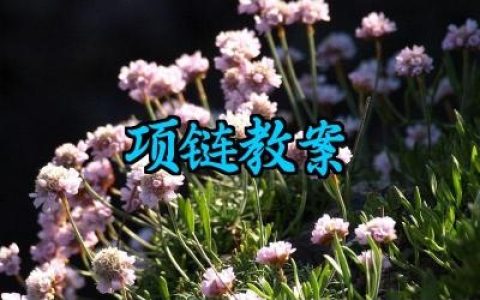​项链教案怎么写范文大全（10篇）