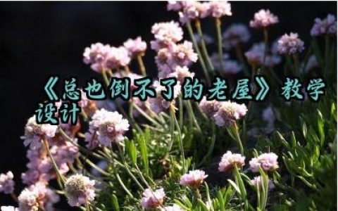 《总也倒不了的老屋》教学设计范文（10篇）