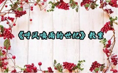 《呼风唤雨的世纪》教案范文精选（10篇）