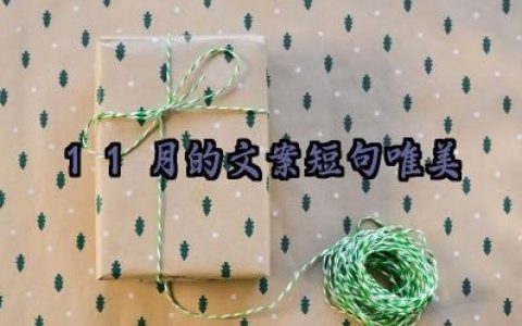 11月的文案短句唯美怎么写