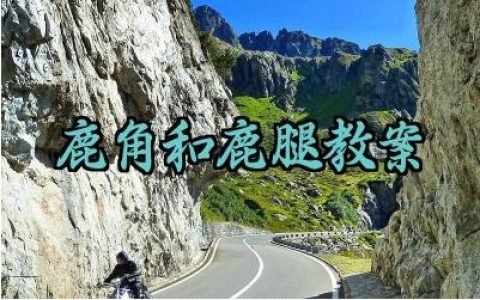 鹿角和鹿腿教案怎么写（10篇）