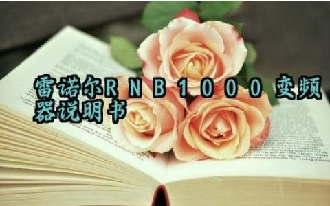 ​雷诺尔RNB1000变频器说明书及日常维护汇总
