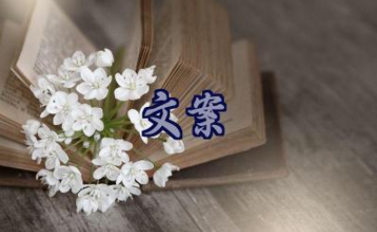 告别2025迎接2026朋友圈文案