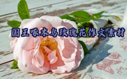 国王啄木鸟玫瑰花作文素材（精选10篇）