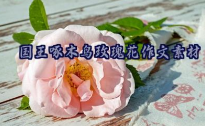 国王啄木鸟玫瑰花作文素材（精选10篇）