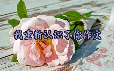 我重新认识了你作文(10篇)