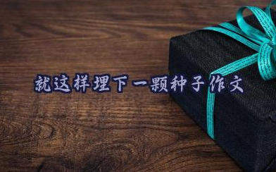 就这样埋下一颗种子600字作文11篇