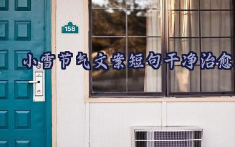 85句小雪节气文案短句干净治愈