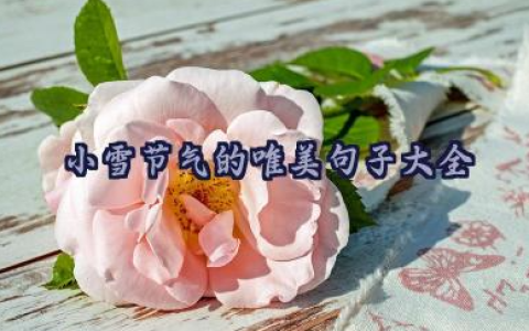 小雪节气的唯美句子大全