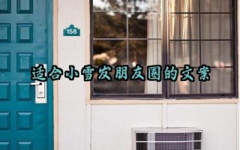 适合小雪发朋友圈的优美文案大全