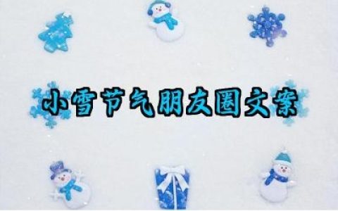 小雪节气朋友圈文案范例大全