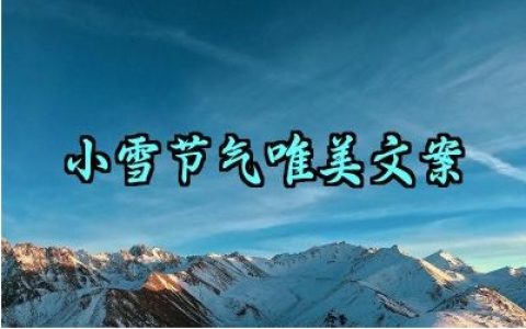 小雪节气唯美文案范文怎么写
