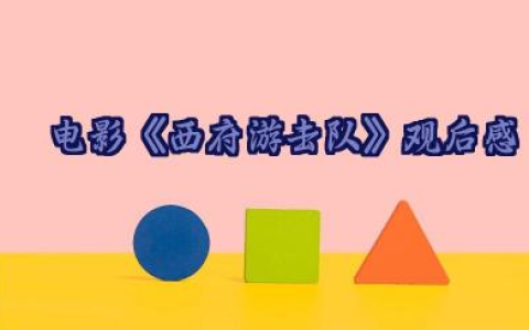 电影《西府游击队》观后感范文