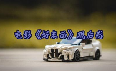 电影《好东西》观后感优秀范文7篇