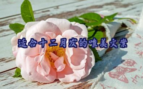 适合十二月发的唯美文案大全