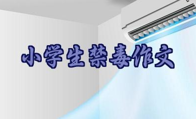 小学生禁毒作文（精选17篇）