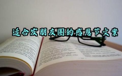 适合发朋友圈的感恩节文案范文