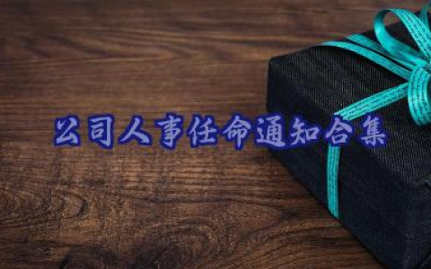 公司人事任命通知通用模板26篇