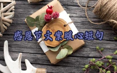 感恩节文案暖心短句通用文案大全