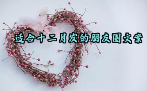 适合十二月发的朋友圈文案怎么写
