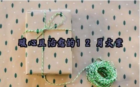暖心且治愈的12月文案范例大全