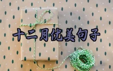 十二月优美句子要怎么写