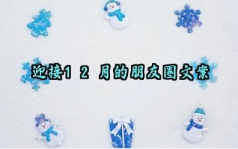 迎接12月的朋友圈文案范例大全