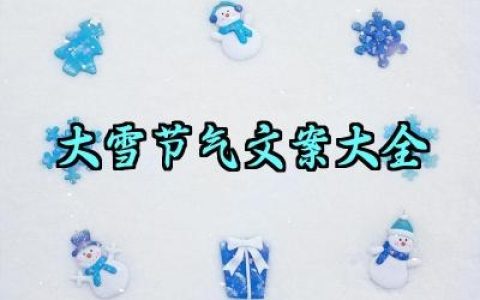 大雪节气文案大全范例