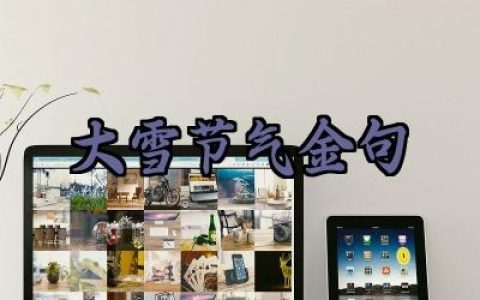 大雪节气金句大全简短一句