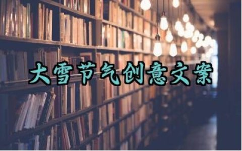 大雪节气创意文案短句走心温暖 