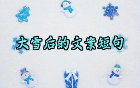 大雪后的文案短句干净治愈大全