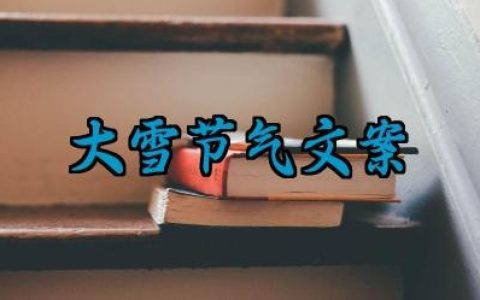 大雪节气文案高级感心情说说怎么写
