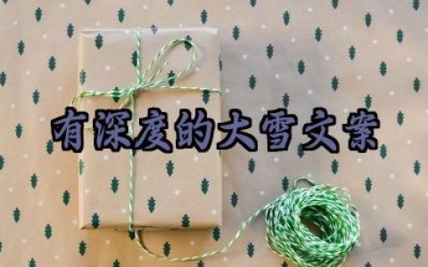 有深度的大雪文案句子怎么写