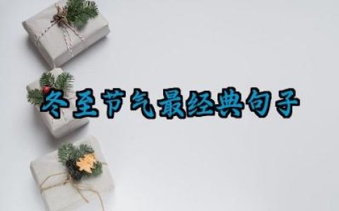 冬至节气最经典句子范例大全