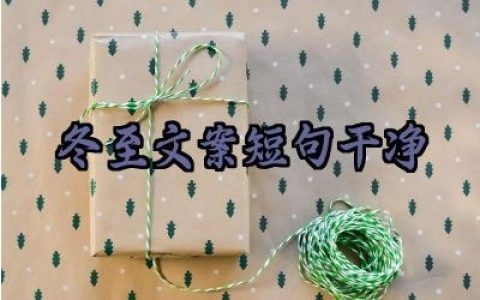 冬至文案短句干净高级怎么写