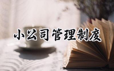 小公司管理制度 小型公司管理制度范文