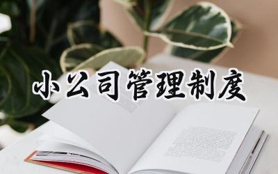 小公司管理制度范文 小公司的规章制度