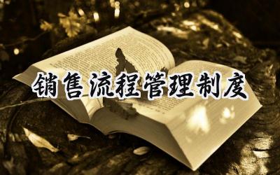 销售流程管理制度 项目销售流程管理制度