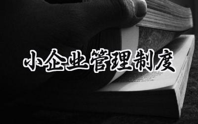 小企业管理制度 小企业的管理制度