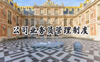 公司业务员管理制度 业务员管理办法及规章制度