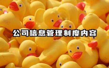 公司信息管理制度内容 公司文件管理制度