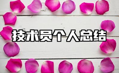 技术员个人总结年度个人总结 技术员个人工作总结范文