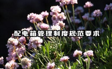 配电箱管理制度规范要求 配电箱安全管理规定范文