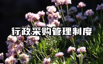 行政采购管理制度及流程 公司采购流程及制度范文