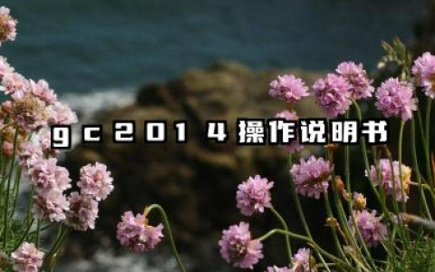 gc2014操作说明书中文版操作规则详解