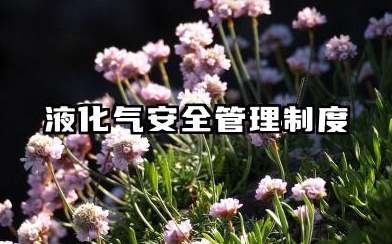 液化气安全管理制度模板 液化气安全生产管理制度范本