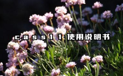 CASS11使用说明书及cass11安装步骤等问题详解