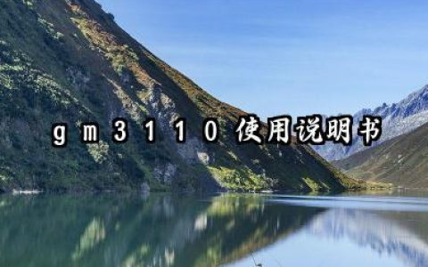 gm3110使用说明书及执行标准如何等问题详解
