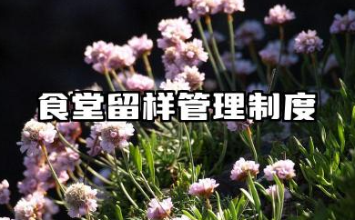 食堂留样管理制度范本 食堂饭菜留样管理制度