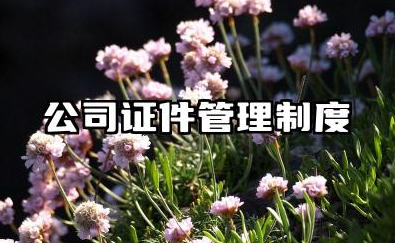 公司证件管理制度范本 公司证件借用管理制度